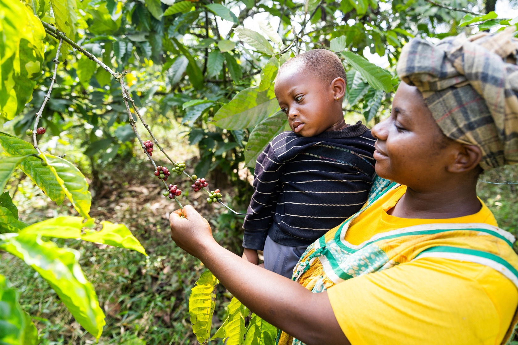 Ethik Kaffee fair-trade Partner Kaffeeherstellung Coffienna Ethik Kaffee fair-trade Partner Kaffeeherstellung Coffienna
